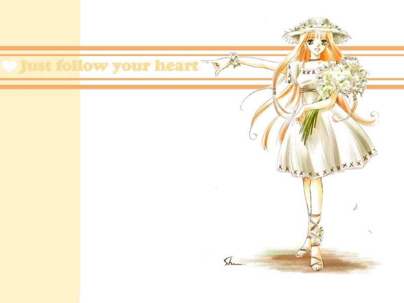 Follow Heart